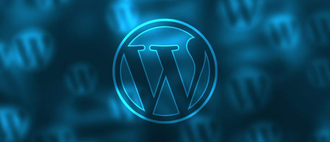 Cinco tipos de plugins para otimizar o seu WordPress